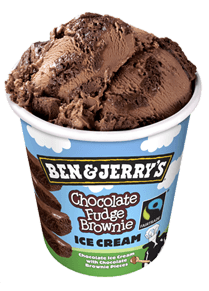 Chocolate Fudge Brownie