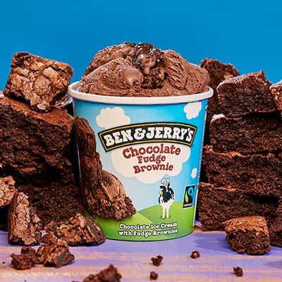 Chocolate Fudge Brownie, 458mL