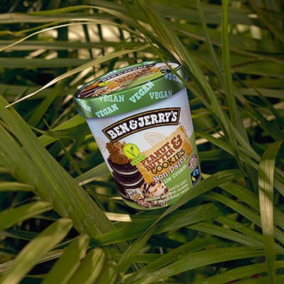 Peanut Butter & Cookies Non-Dairy in house plants