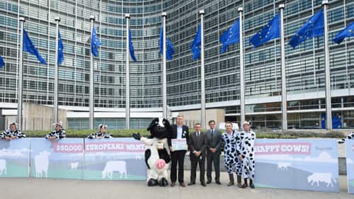 europeanUnionCows-1.png