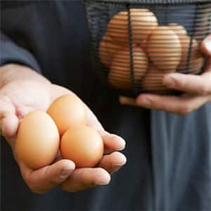 cage-free-eggs.jpg
