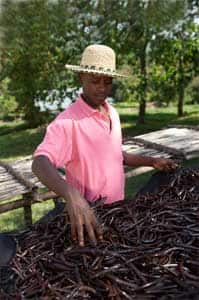 vanilla-farmer.jpg