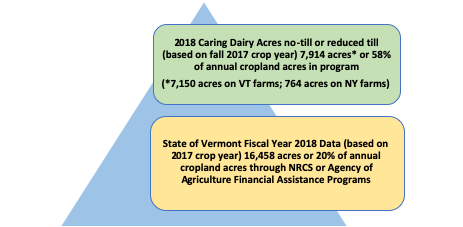 Chart of Caring Dairy Results, figure 5
