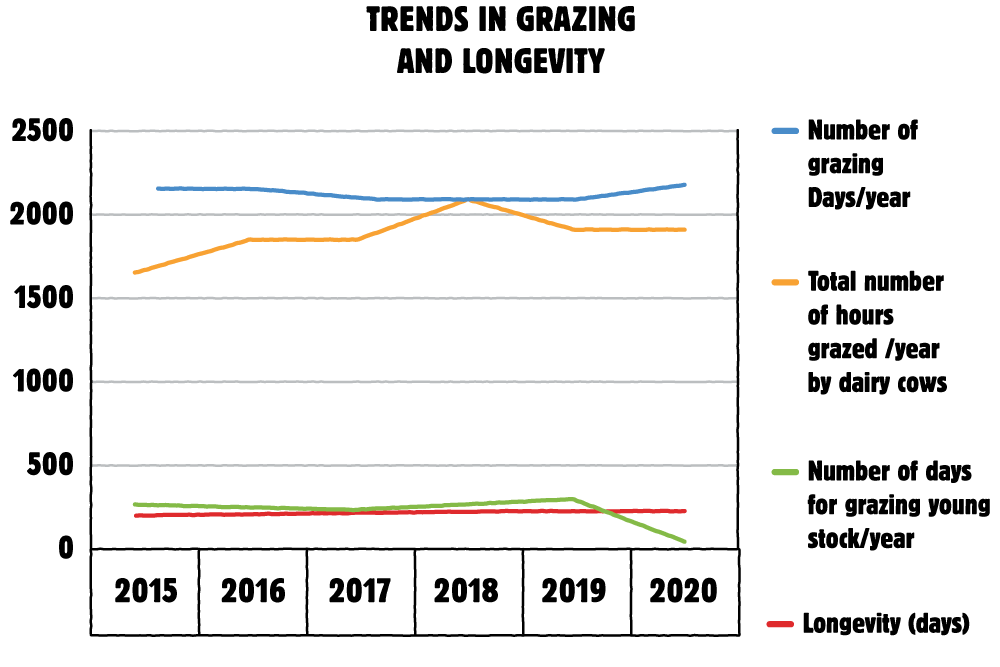 Graph on Trends in Grazing and Longevity from 2015 to 2019. Described in paragraph three under the heading Excellent life for cows.